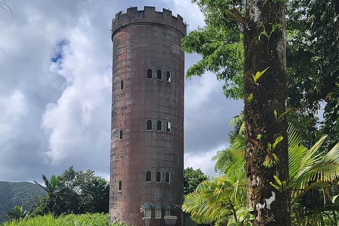 El Yunque National Forest Guided Tour with Transport - The waterfall stop is a roadside look