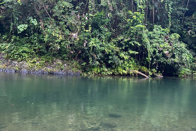 El Yunque National Forest Guided Tour with Transport - Mameyes II is the most active stop