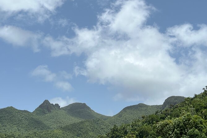 El Yunque National Forest Guided Tour with Transport - Lunch and souvenirs bring you back to local life