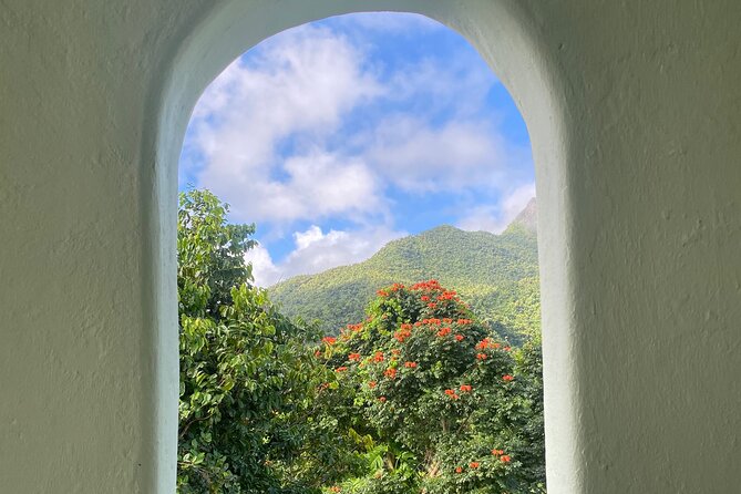 El Yunque National Forest Guided Tour with Transport - How strenuous is the walking?