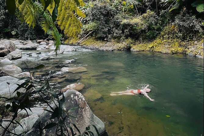 El Yunque National Forest Guided Tour with Transport - Yocahu Tower brings the forest into view