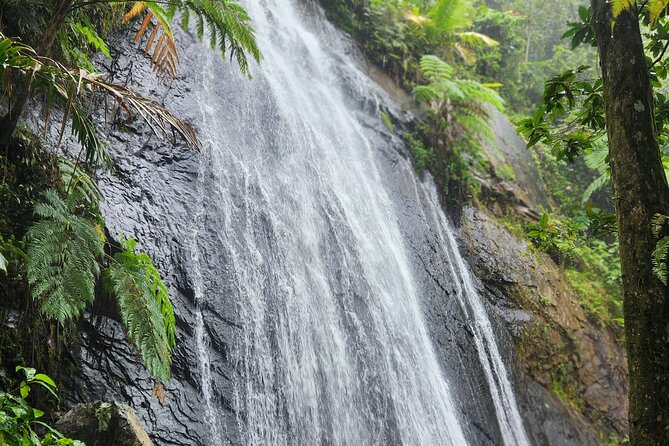 El Yunque National Rainforest and Luquillo Beach Tour - Why this six-and-a-half-hour combination works