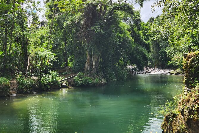 El Yunque National Rainforest and Luquillo Beach Tour - La Coca Falls, an 85-foot roadside spectacle