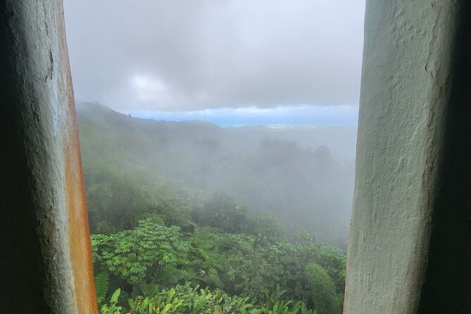 El Yunque National Rainforest and Luquillo Beach Tour - Luquillo Beach and the 36-kiosk food area