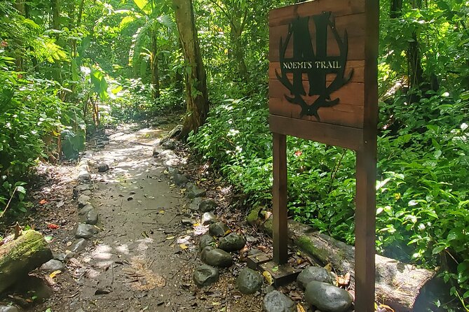 El Yunque National Rainforest and Luquillo Beach Tour - How the guides shape the day