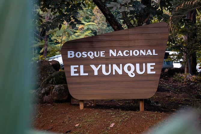 El Yunque Rainforest EZ-going Bus Tour (wheelchair accessible) - A gentle way into El Yunque