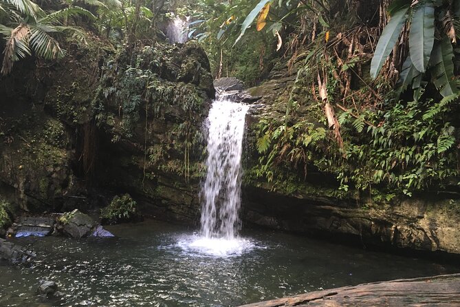 El Yunque Rainforest EZ-going Bus Tour (wheelchair accessible) - Yokahu Tower gives you the broadest view