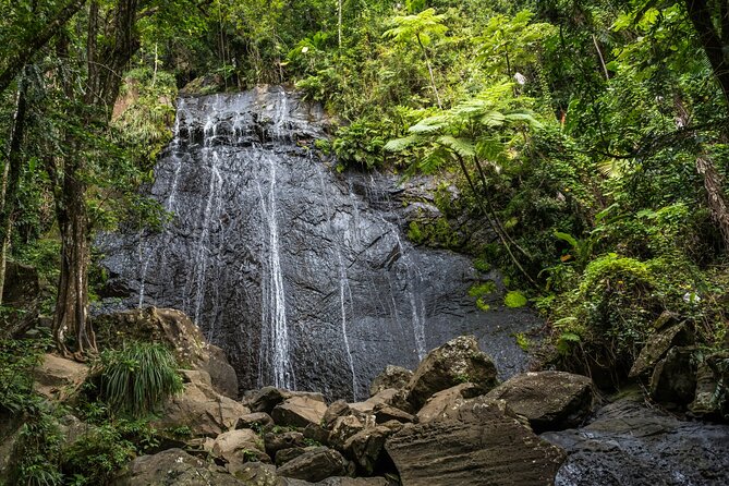El Yunque Rainforest EZ-going Bus Tour (wheelchair accessible) - Luquillo brings Puerto Rican flavor to the day