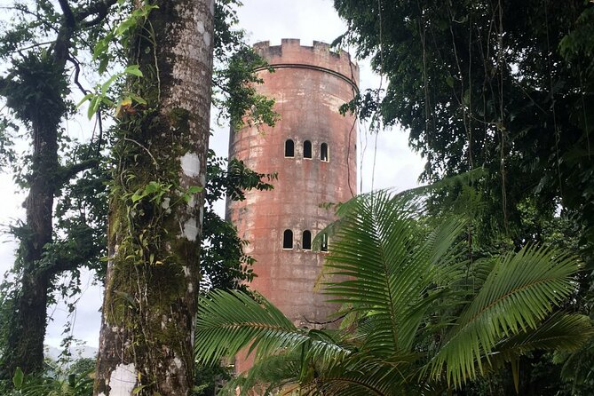 El Yunque Rainforest EZ-going Bus Tour (wheelchair accessible) - Why the guide matters on a short route