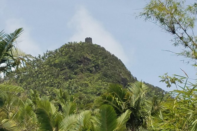 El Yunque Rainforest Full Day Private Tour - La Coca Falls: a quick, worthwhile stop