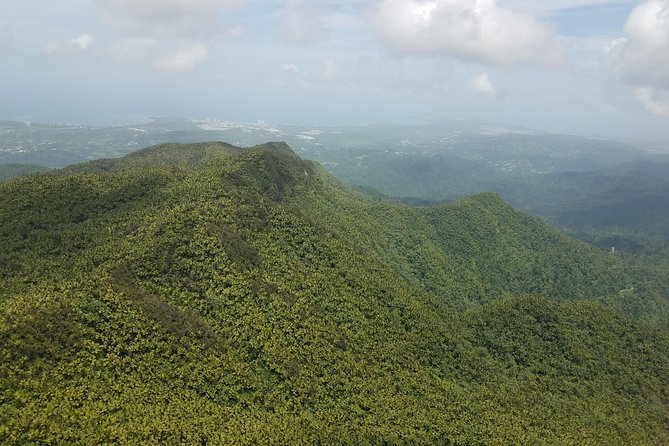 El Yunque Rainforest Full Day Private Tour - Climbing Yokahu Tower for a wider view