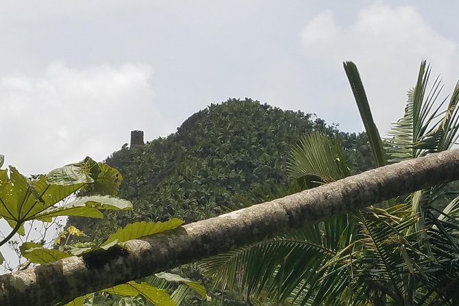 El Yunque Rainforest Full Day Private Tour - What the $333 price buys you