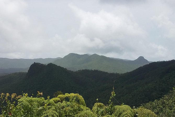 El Yunque Rainforest Full Day Private Tour - The guide style and the strongest praise
