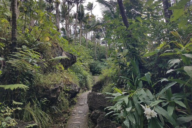 El Yunque Rainforest Full Day Private Tour - What to bring for a wet mountain day