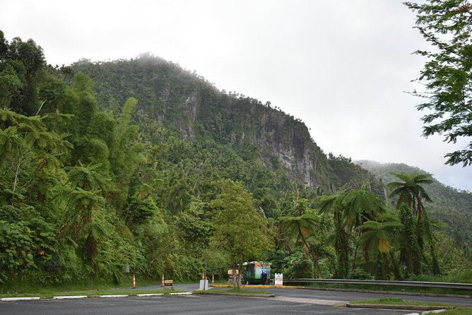 El Yunque Rainforest Guided Day Tour from San Juan - The ride from San Juan to the forest