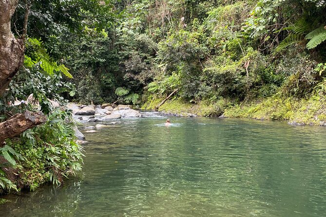 El Yunque Rainforest Guided Day Tour from San Juan - Mameyes II brings the forest trail and river