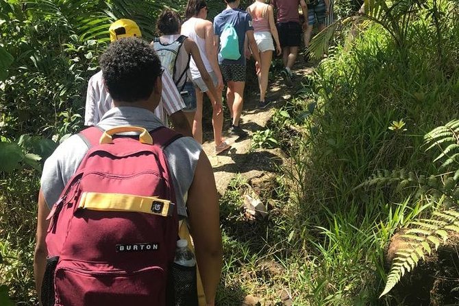 El Yunque Rainforest Guided Day Tour from San Juan - Your guide can shape the whole day