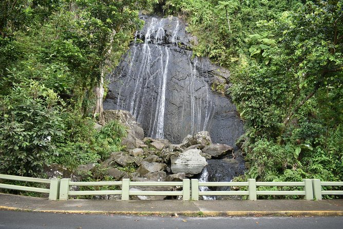 El Yunque Rainforest Guided Day Tour from San Juan - Lunch adds local flavor, but it is not included