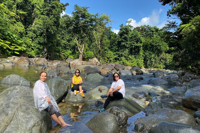 El Yunque Rainforest Guided Day Tour from San Juan - La Coca Waterfall is a quick roadside glimpse