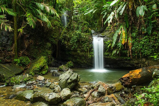 El Yunque Rainforest Guided Tour - The local food stop is useful, but budget for it