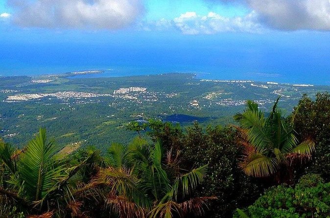 El Yunque Rainforest Guided Tour - Is $75 a fair price?