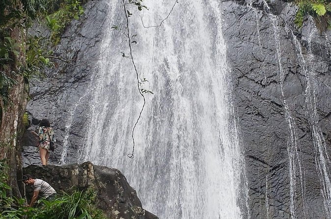 El Yunque Rainforest Guided Tour - Who should book this rainforest outing?