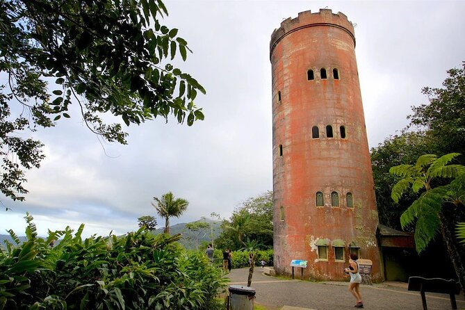 El Yunque Rainforest Guided Tour - What to pack for a smoother day