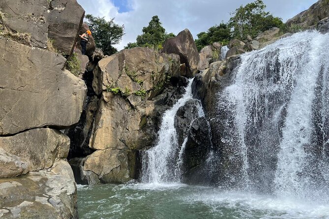 El Yunque Rainforest Hike and Luquillo Beach Tour - What makes the forest more than an adventure course