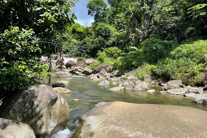El Yunque Rainforest Hike and Luquillo Beach Tour - Is $189 a fair price?