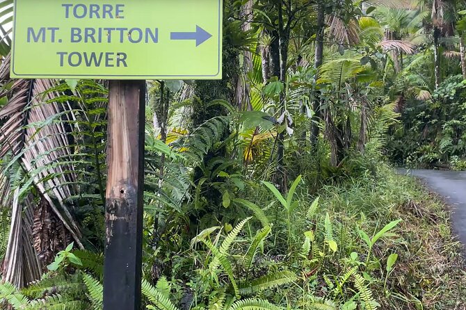 El Yunque Rainforest Hike with Transport from San Juan - Walking through Puerto Rico’s tropical rainforest