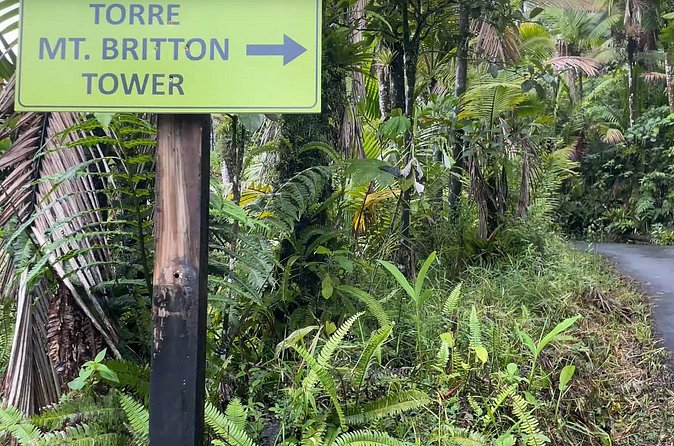 El Yunque Rainforest Hike with Transport from San Juan - What the guides add to the day