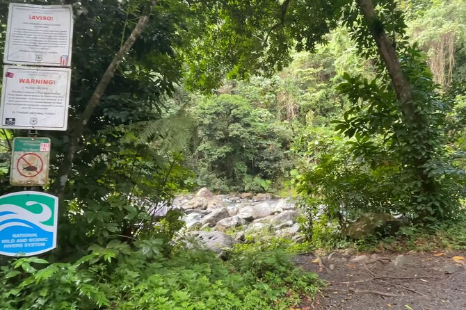 El Yunque Rainforest Hike with Transport from San Juan - Who should book this rainforest outing?