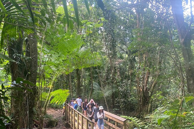 El Yunque Rainforest Hiking Tour from San Juan - Key points to know before booking