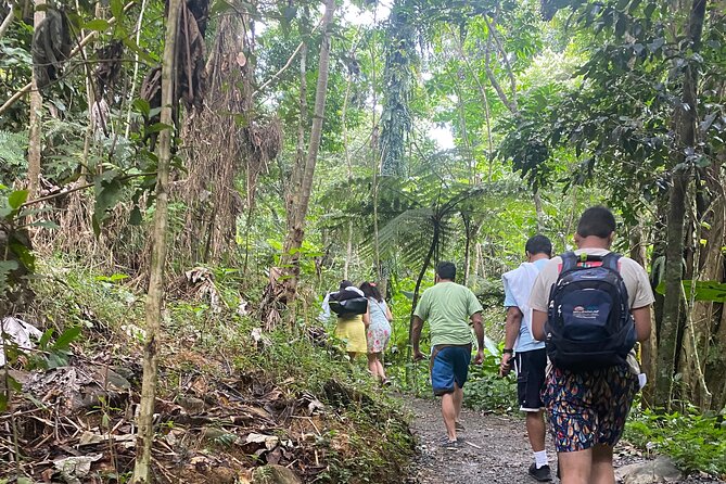 El Yunque Rainforest Hiking Tour from San Juan - Yokahu Tower and the mountain views