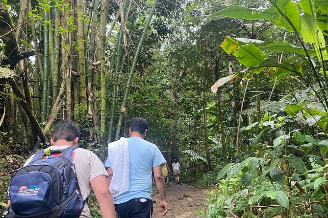 El Yunque Rainforest Hiking Tour from San Juan - The rainforest trail and river stop