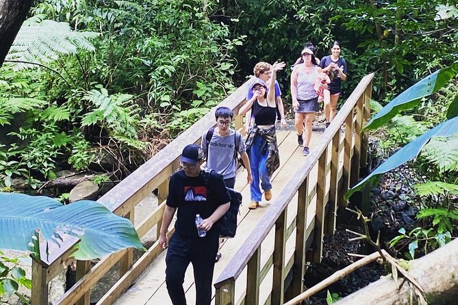 El Yunque Rainforest Hiking Tour from San Juan - Is $79 a fair price?