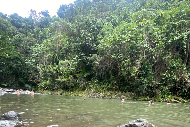 El Yunque Rainforest Hiking Tour from San Juan - What to bring and how to plan the afternoon