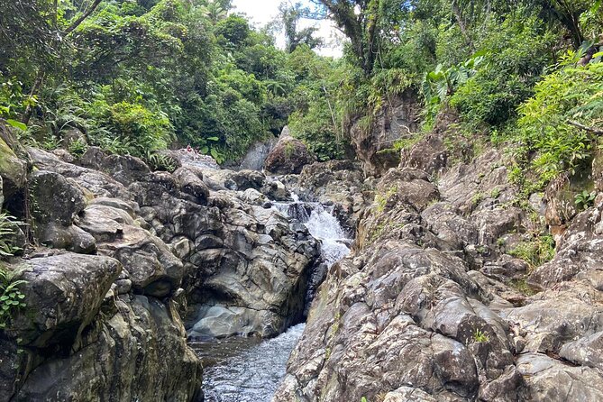 El Yunque Rainforest Morning River and Hike Adventure - Leaving San Juan at 7:00 am