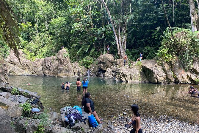 El Yunque Rainforest Morning River and Hike Adventure - Food, transport, and the real value of $120