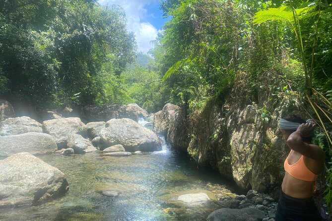 El Yunque Rainforest Morning River and Hike Adventure - Who should book this rainforest outing