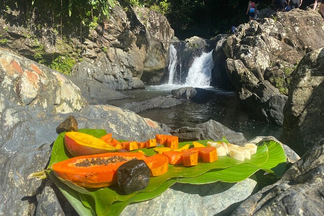 El Yunque Rainforest Morning River and Hike Adventure - Weather, cancellation, and a few practical checks