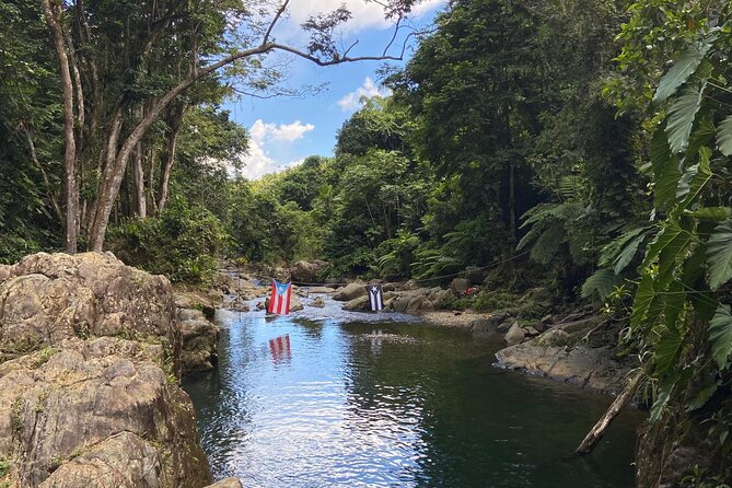 El Yunque Rainforest Morning River and Hike Adventure - The 20 to 30 minute walk through the rainforest