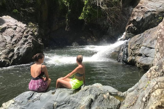 El Yunque Rainforest Tour from Fajardo - Key points to know before you book