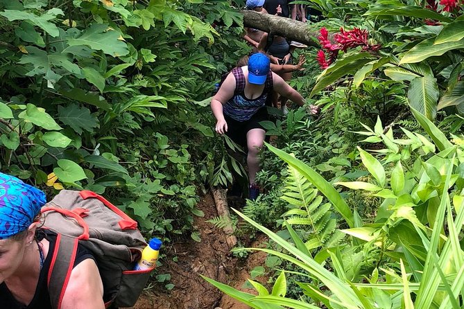 El Yunque Rainforest Tour from Fajardo - This is El Yunque with mud on your shoes
