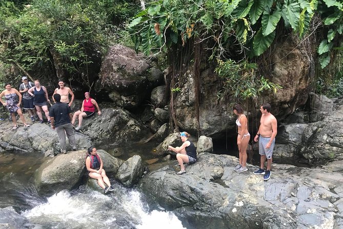 El Yunque Rainforest Tour from Fajardo - Does this really take place inside El Yunque?