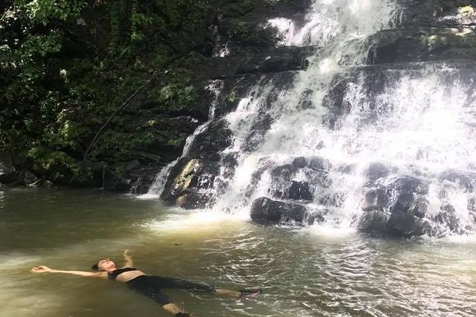 El Yunque Rainforest Tour from Fajardo - Is $89 a fair price?