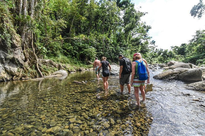El Yunque Rainforest Tour from Fajardo - The first 30 minutes: river wading and rock work