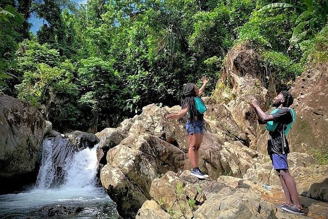 El Yunque Rainforest Tour Half Day Earlybird/ Small Groups - The Quieter Lagoon and Waterfall Area