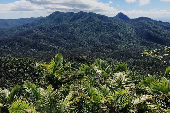 El Yunque Rainforest Waterslides and Luquillo Beach w/ Transport - Key points to know before you book