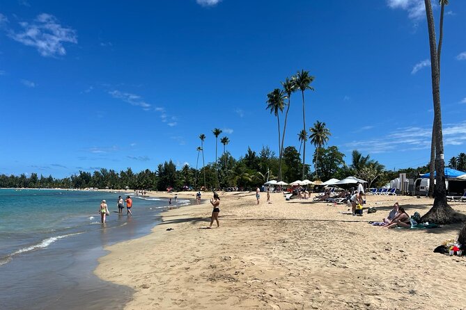 El Yunque Rainforest Waterslides and Luquillo Beach w/ Transport - Air-conditioned transport and the long day